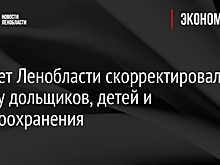 Бюджет Ленобласти скорректировали в пользу дольщиков, детей и здравоохранения
