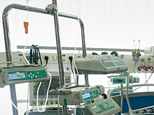 Врач предупредила о риске заболеть вирусом «нипах»