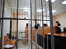 Дело орудовавшего в Москве более восьми лет педофила направили в суд