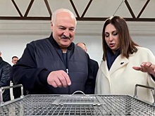 Лукашенко знакомится с развитием птицеводческой отрасли в Беларуси