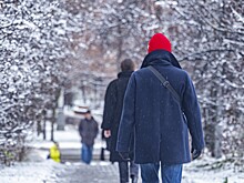 Москвичам назвали дату восстановления снежного покрова в городе