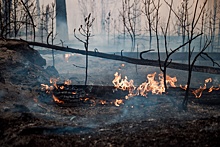 Прокуратура РФ: Дальневосточные регионы не готовы к пожароопасному сезону