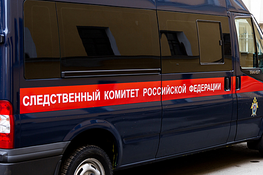 В Москве судья Нижегородского областного суда устроил дебош перед вылетом в аэропорту Шереметьево