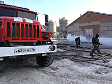 В Челябинской области загорелся птичник