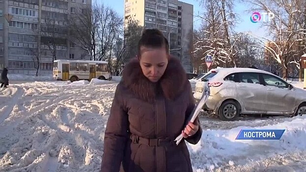 Награждены Золотым Домкратом