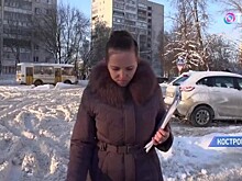 Награждены Золотым Домкратом