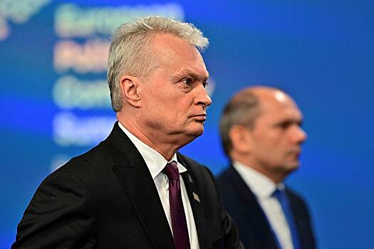 Науседа одобрил поправки о лишении россиян ВНЖ за поездки на родину