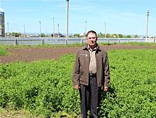 Николай Осокин выращивает сою почти 40 лет