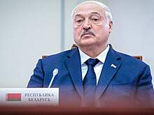 Раскрыта реакция Лукашенко на атаку на резиденцию Путина