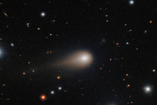 Названы главные научные прорывы года