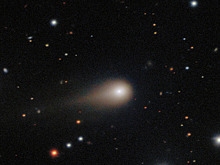 Названы главные научные прорывы года