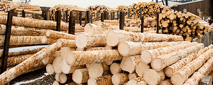 В Адыгее кредитный портфель бизнеса за год вырос на 25%