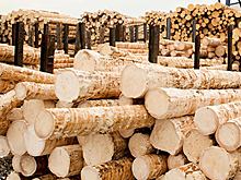 В Адыгее кредитный портфель бизнеса за год вырос на 25%