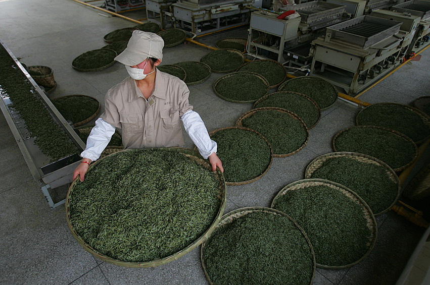 Фабрика по производству чая