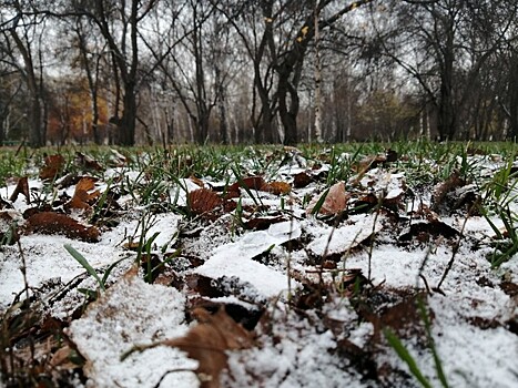 Фотографиями первого снега делятся новосибирцы