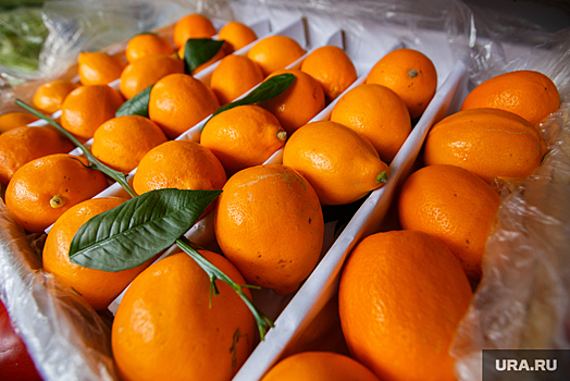 Росстат зафиксировал рекордное подорожание апельсинов в России