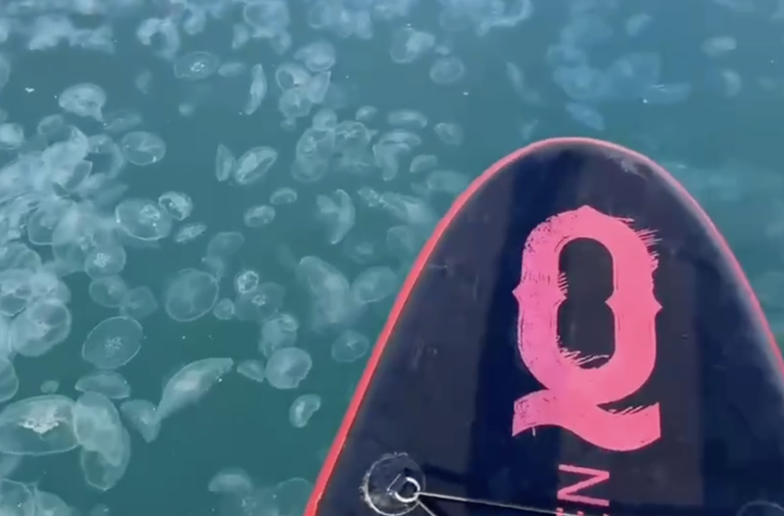 На сапах через кисель: у берегов Анапы случилось нашествие медуз