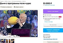 Россиянин выставил на продажу дыню, которую выиграл на «Поле чудес»