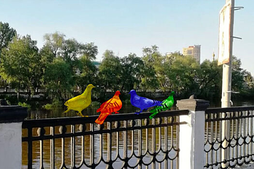Мэр Омска увидел в радужных фигурах голубей на набережной пропаганду ЛГБТ