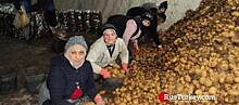 В Невшехире женщины, вместо праздника, фасовали картошку