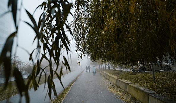 Волгоградцы обсуждают остановку поезда, гибель пенсионерки и декабрьские пенсии