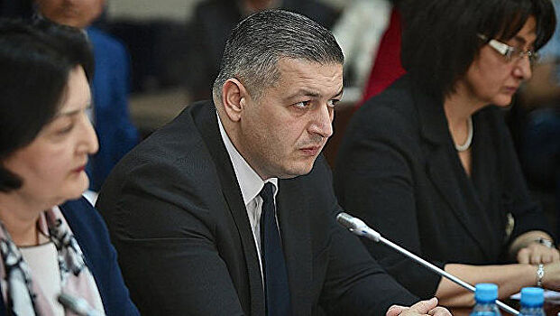 Оппозиционный депутат из Грузии прилетел в Москву