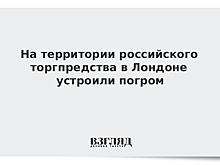 На территории российского торгпредства в Лондоне устроили погром