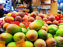 Вероятность проникновения вируса Нипах в Россию оценил академик Нетесов