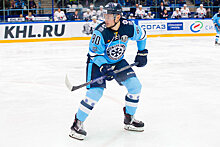 Хоккей: «Сибирь» расторгла контракт с Игорем Левицким