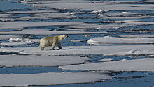 В Арктике растут природные угрозы