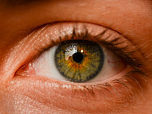 Эндокринолог Татьяна Бочарова: дефицит витамина А приводит к ухудшению зрения и сухости роговицы