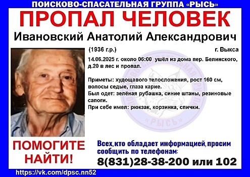 89-летний мужчина потерялся в лесу в Выксе