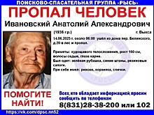 89-летний мужчина потерялся в лесу в Выксе