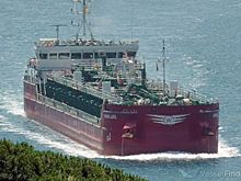 Трое российских моряков отравились на сухогрузе Swanlake