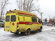 На трассе Тюмень-Омск под колесами фуры погиб 23-летний пешеход