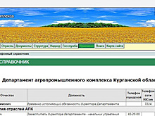 В Кургане варяг назначен руководителем департамента АПК. Это седьмой глава ведомства за два года