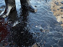 Разлив нефти в Камешкирском районе: масштабы загрязнения выросли