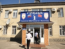 В Волгограде произошел сбой в работе информационных ресурсов ГИБДД