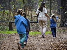 Как многодетным семьям в Красноярском крае получить земельный сертификат