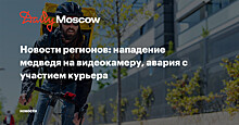 Новости регионов: нападение медведя на видеокамеру, авария с участием курьера