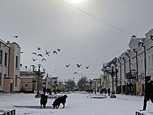 В Улан-Удэ с 2025 года введут туристический налог