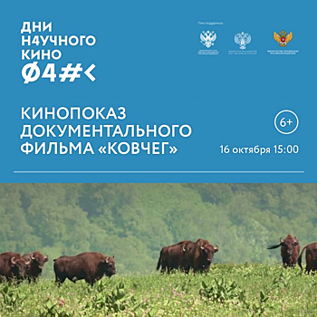 В «МосАРТ Новогиреево» пройдёт показ документальных фильмов