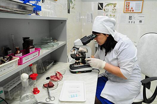 98 кг некачественной мясной продукции изъяли в Нижегородской области в 2022 году