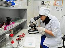 98 кг некачественной мясной продукции изъяли в Нижегородской области в 2022 году