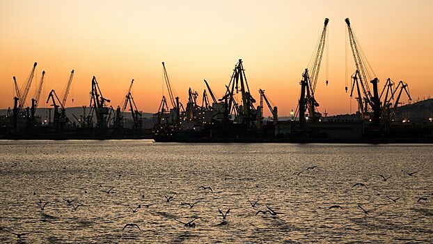 Новороссийский порт оштрафовали за вред Черному морю