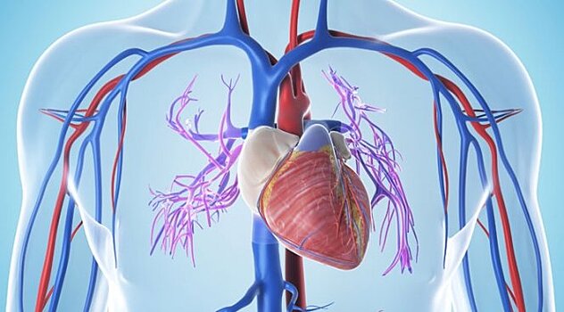 Новые биомаркеры способны улучшить раннюю диагностику сердечной недостаточности