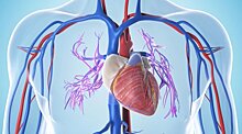 Сердечная недостаточность и микрофлора кишечника связаны между собой