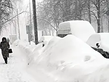 «Нас снова засыплет снегом». Подробный прогноз погоды на неделю
