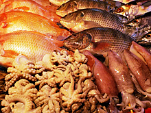 Эксперт оценил долю фальсификата в рыбной продукции в России