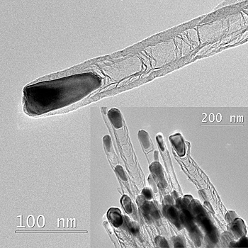 Эффекты поляризации углеродных нанотрубок позволят использовать их в запоминающих устройствах и наногенераторах
